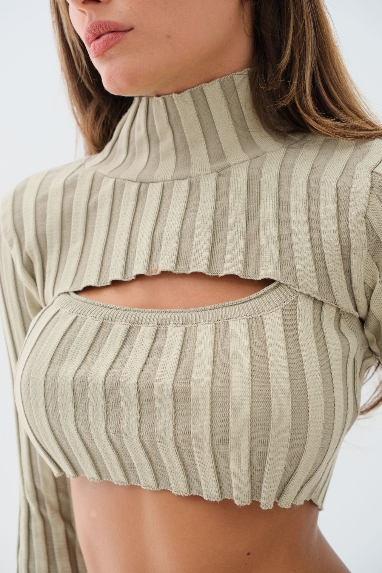 Turtleneck Beige Knitwear Crop Top