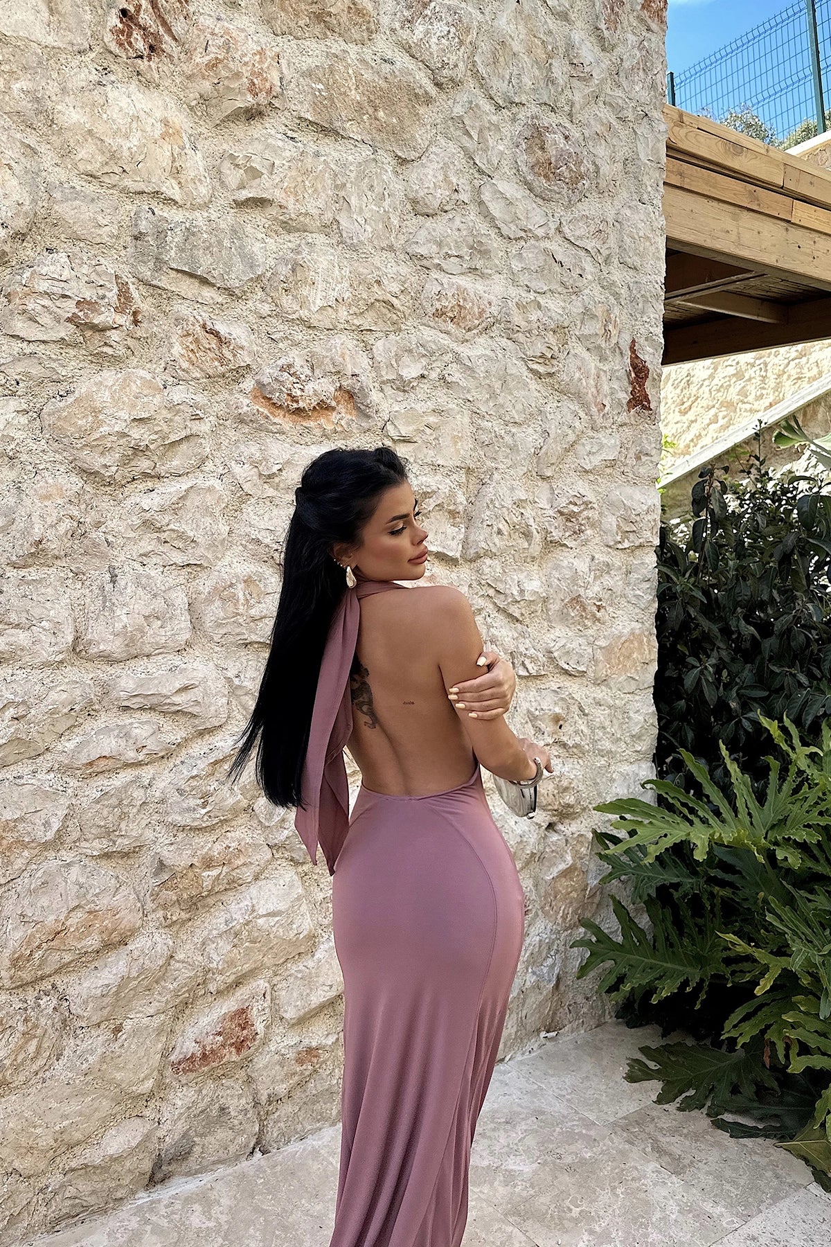 Pamella Dried Rose Backless Gown